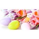 DOMENICA DI PASQUA E LUNEDI' DI PASQUETTA