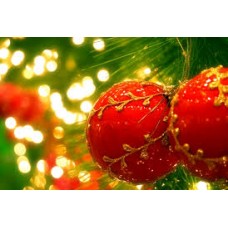 IL PRANZO DI NATALE 2014
